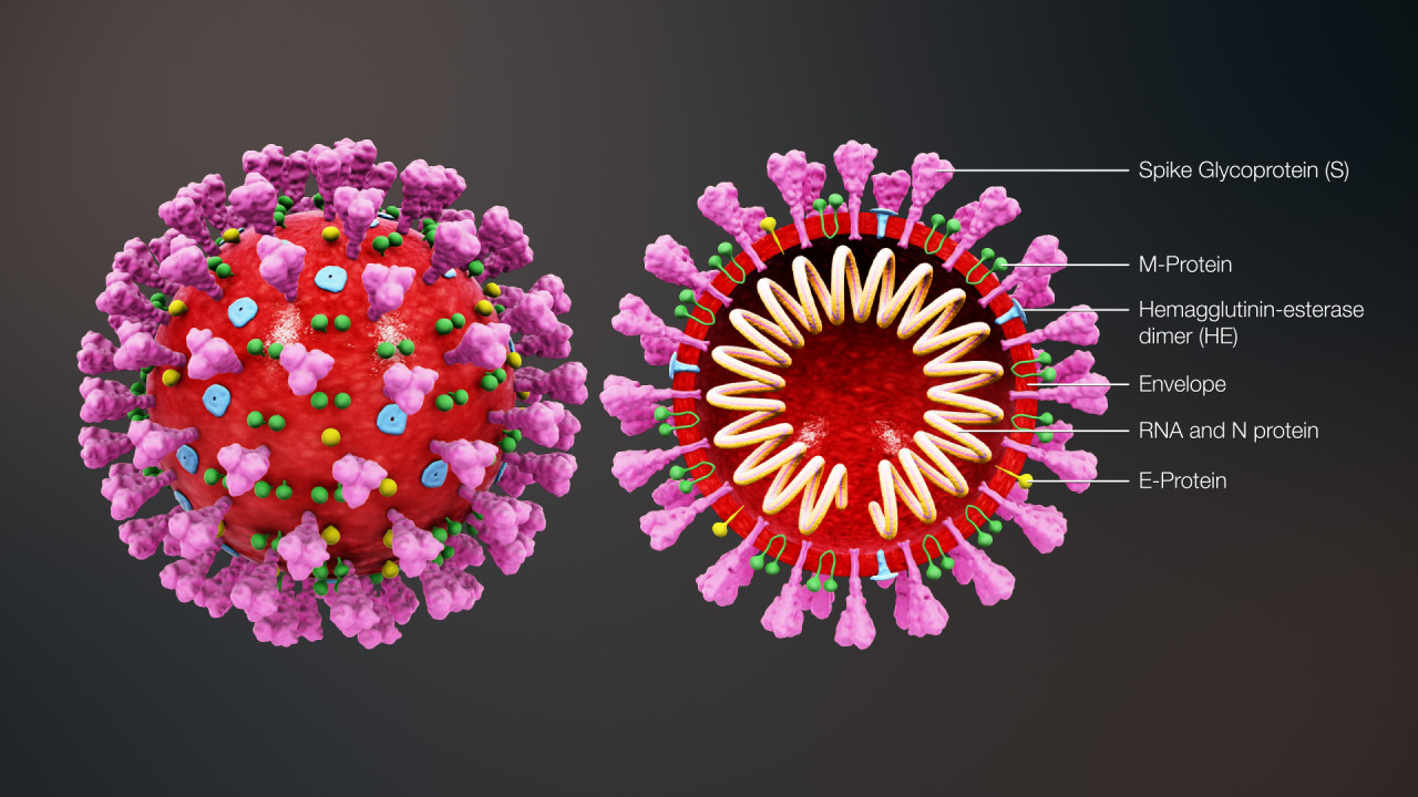 El coronavirus llega al poker El coronavirus llega al poker