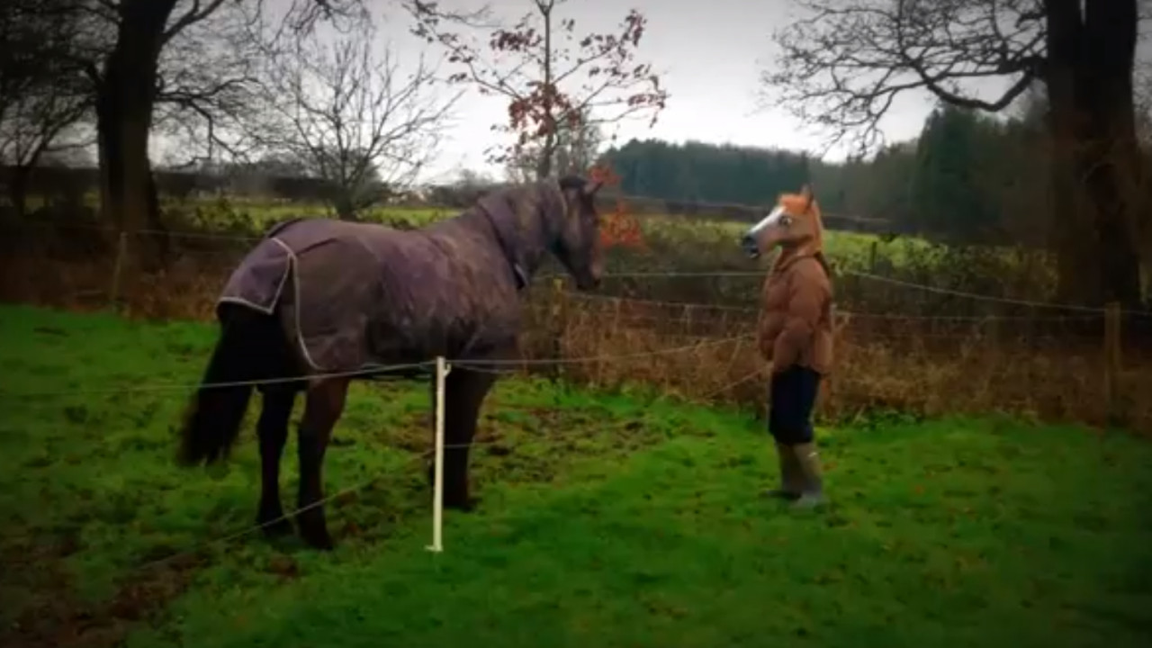 Liv Boeree haciendo el retard con su caballo