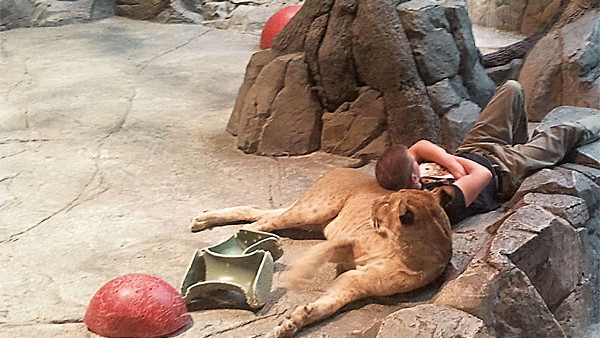 Crónicas de Vegas III: De leones y fantasmas Crónicas de Vegas III: De leones y fantasmas