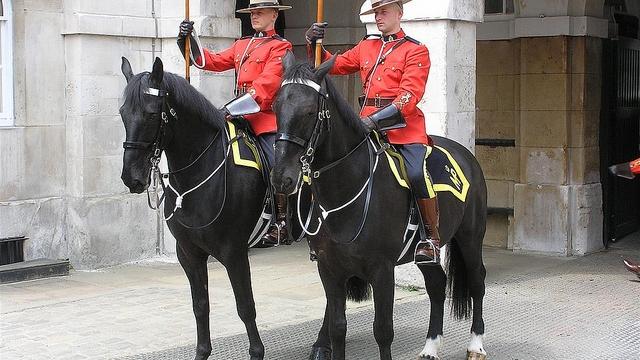 La policía canadiense irrumpe en las oficinas de Amaya