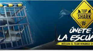 Comienza el sprint final de Top Shark Comienza el sprint final de Top Shark