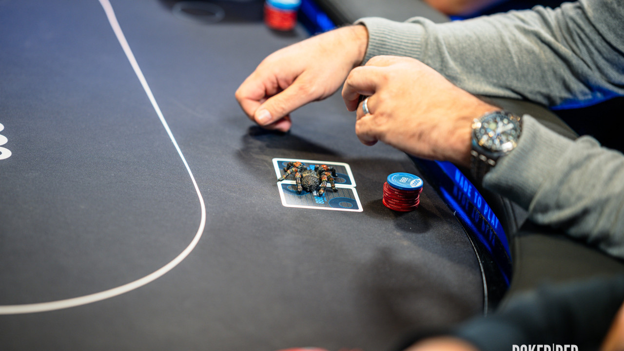 Llegamos al descanso de la cena