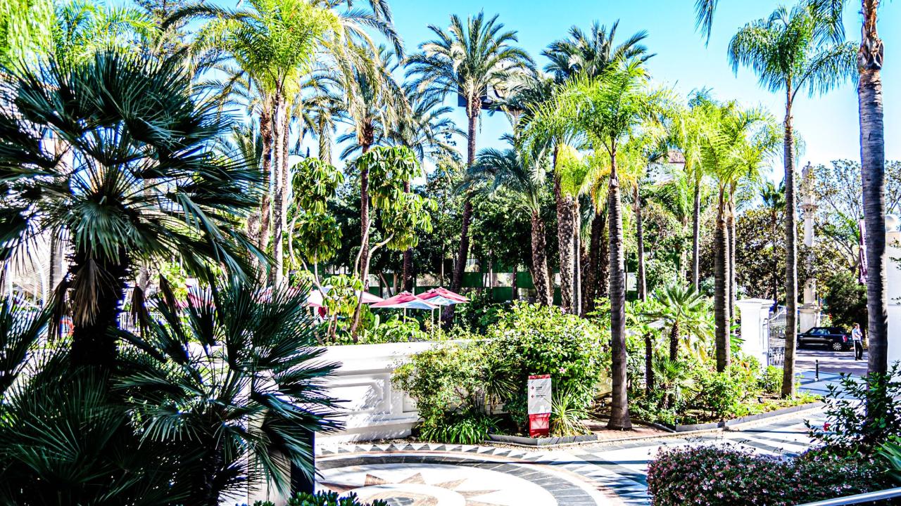 Hoja de Ruta del Main Event CEP Marbella
