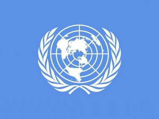 El juego ilegal pone contra las cuerdas a los reguladores: la ONU pide coordinación y Bulgaria frena la subida de impuestos