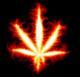 Profile picture for user alejogambler